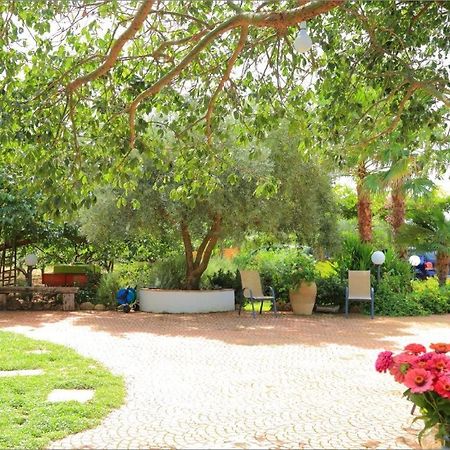 Villa Zahara Ribera Exteriör bild
