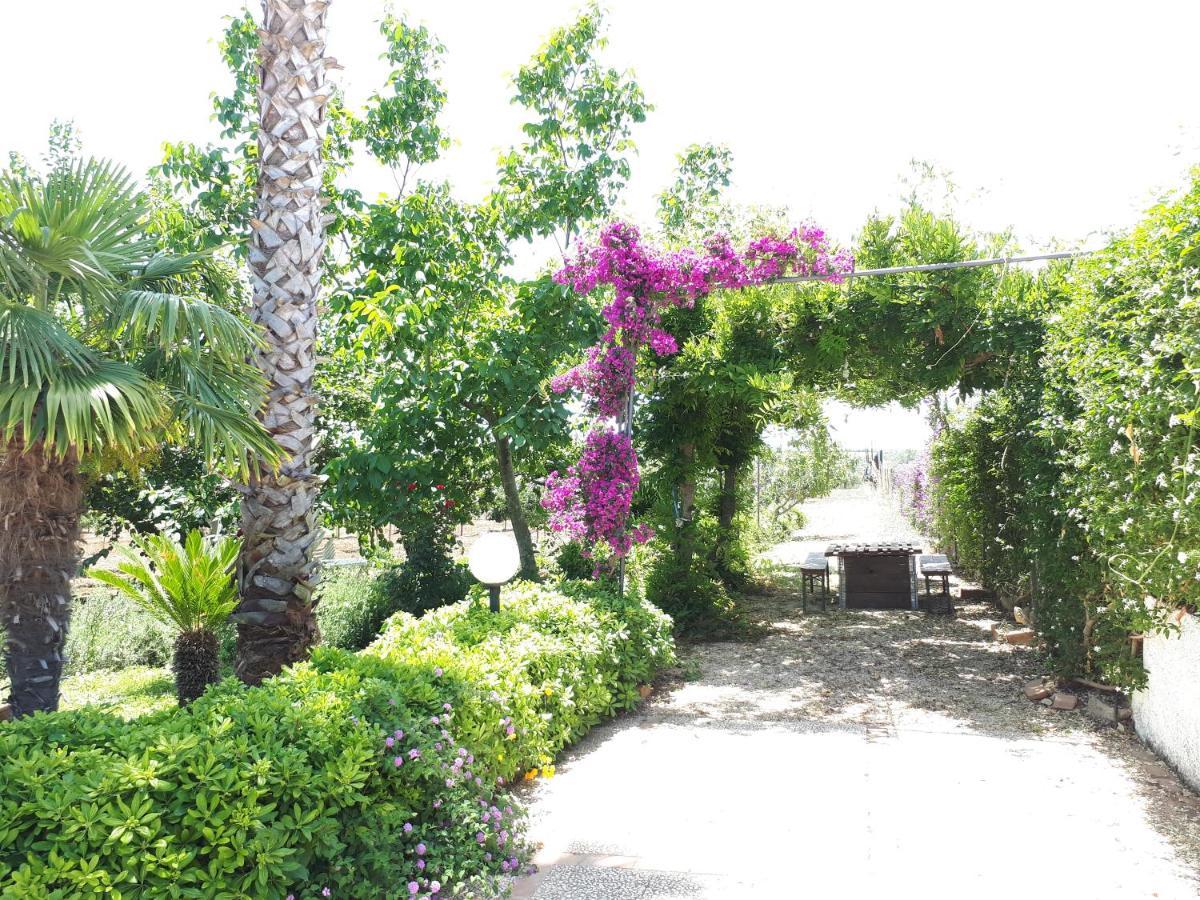 Villa Zahara Ribera Exteriör bild